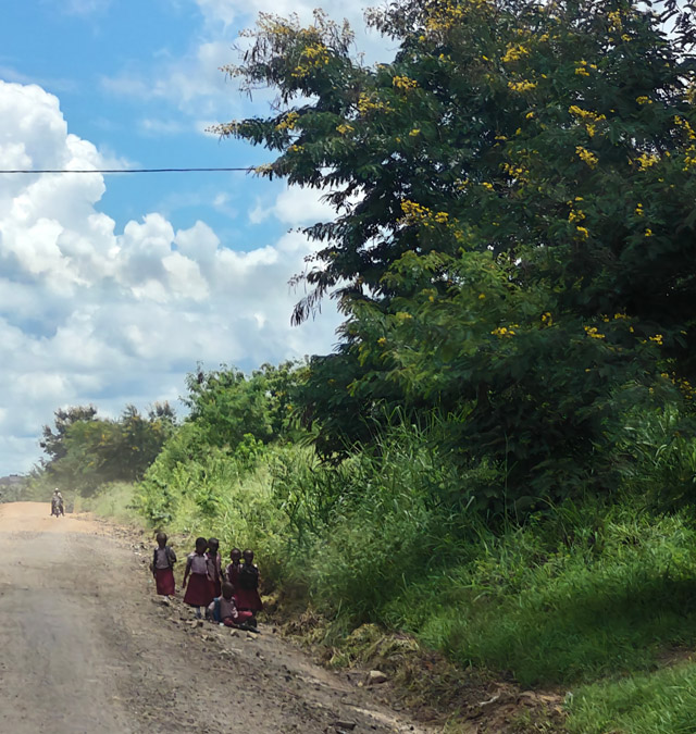 1764751458479890.jpg Msua小学1.jpg